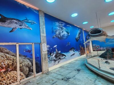 Museo Nacional de Historia Natural inaugura mural en la Sala de los Gigantes Marinos