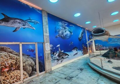 Museo Nacional de Historia Natural inaugura mural en la Sala de los Gigantes Marinos