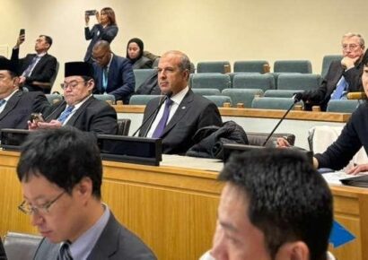 RD fue elegida por primera vez como miembro de la Comisión de Administración Pública Internacional (CAPI) de las Naciones Unidas