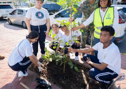 Alcaldía del DN continúa Plan de Arbolado Urbano con plantación de 150 árboles en la Rómulo Betancourt