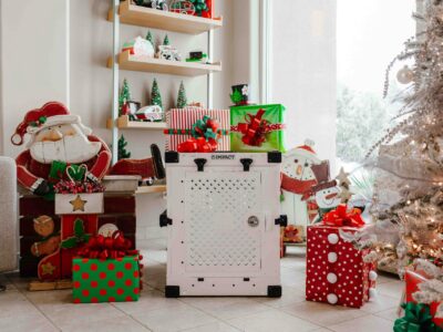 Gracia navideña 2025 alcanza récord histórico de US$5,500 para dominicanos en el exterior