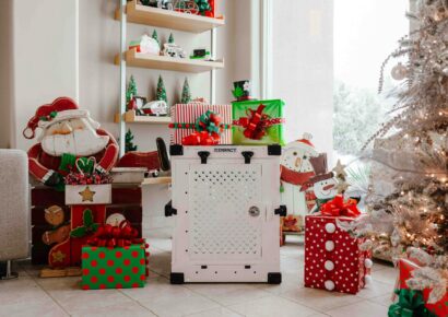 Gracia navideña 2025 alcanza récord histórico de US$5,500 para dominicanos en el exterior