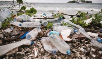 “Fake Plastic Trees” y la realidad tóxica detrás de la Ley de Residuos Sólidos