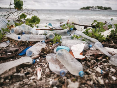 “Fake Plastic Trees” y la realidad tóxica detrás de la Ley de Residuos Sólidos