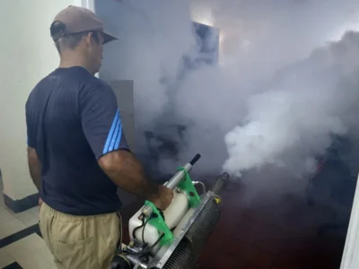 Cuba avanza hacia el control de la epidemia de dengue y chikunguña