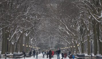 Central Park se cubre de blanco con la primera nevada de la temporada