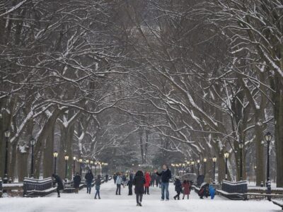 Central Park se cubre de blanco con la primera nevada de la temporada