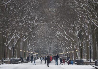Central Park se cubre de blanco con la primera nevada de la temporada