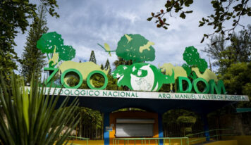 Medio Ambiente aprueba incorporación de especies exótica al Zoológico Nacional