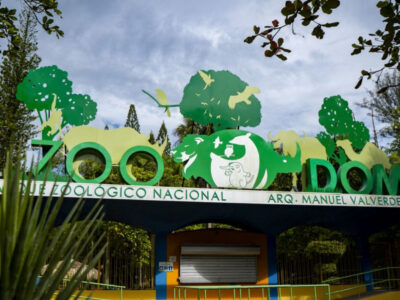 Medio Ambiente aprueba incorporación de especies exótica al Zoológico Nacional