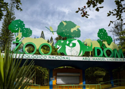 Medio Ambiente aprueba incorporación de especies exótica al Zoológico Nacional