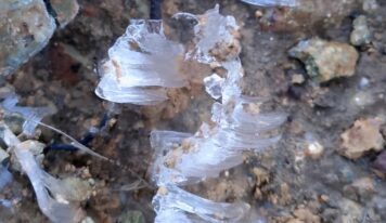 ¡Qué frío! Valle Nuevo registra su primera helada extrema de la temporada 2025-2026