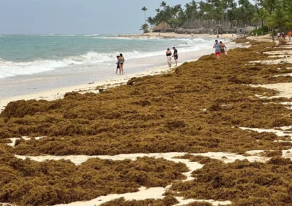 La ONU aprueba resolución sobre el sargazo impulsada por República Dominicana
