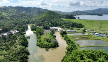 Medio Ambiente atribuye coloración verde en presa de Hatillo a floración de algas