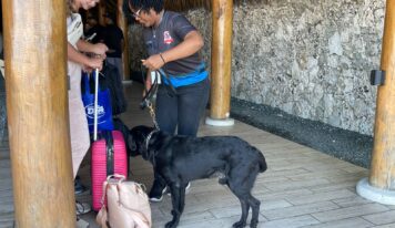 DNCD despliega más agentes antidrogas en aeropuertos y puertos del país por la temporada navideña