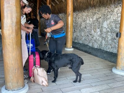 DNCD despliega más agentes antidrogas en aeropuertos y puertos del país por la temporada navideña