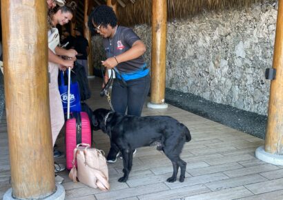 DNCD despliega más agentes antidrogas en aeropuertos y puertos del país por la temporada navideña