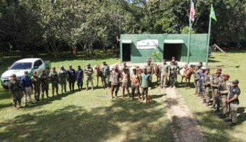 Medio Ambiente, SENPA y Ejército Nacional desmantelan cultivos ilegales en Los Haitises