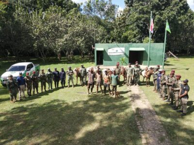 Medio Ambiente, SENPA y Ejército Nacional desmantelan cultivos ilegales en Los Haitises