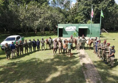 Medio Ambiente, SENPA y Ejército Nacional desmantelan cultivos ilegales en Los Haitises