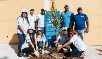 Alcaldía del DN lleva su Plan de Arbolado al sector Las Praderas