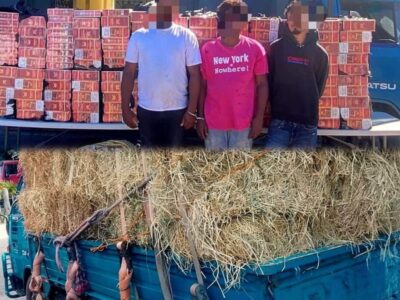 Ocupan en Montecristi 280 mil cigarrillos ilícitos ocultos bajo carga de paja en un camión