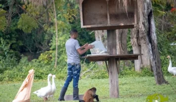 Debate ambiental por solicitud del Zoológico Nacional de importar especies exóticas desde Puerto Rico