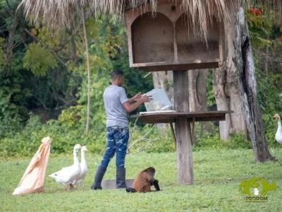 Debate ambiental por solicitud del Zoológico Nacional de importar especies exóticas desde Puerto Rico