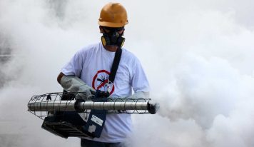 RD concluye 2025 sin fallecimientos por dengue y reducción histórica de casos