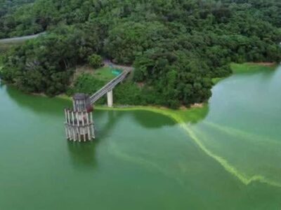 Ministerio de Medio Ambiente informó que da seguimiento a un inusual cambio de color verdoso en las aguas de la presa de Hatillo