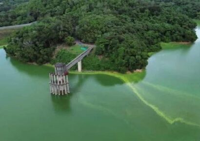 Ministerio de Medio Ambiente informó que da seguimiento a un inusual cambio de color verdoso en las aguas de la presa de Hatillo