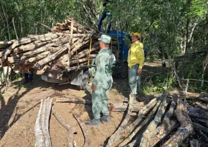 SENPA y Medio Ambiente incautan 831 piezas de madera en Dajabón y Monte Plata