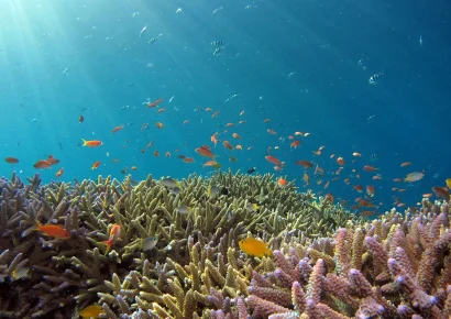 El Tratado de Alta Mar entra en vigor este sábado para proteger los océanos internacionales