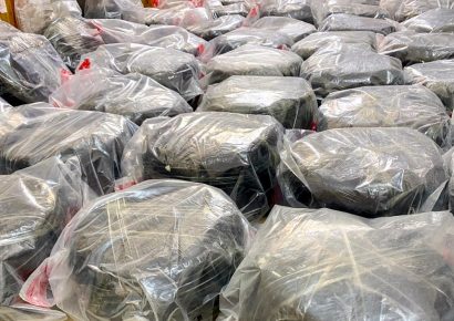 DNCD desmantela red de narcotráfico y confisca 209 libras de marihuana en operativos en el Sur y Santo Domingo Este