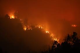 Incendios forestales en el sur de Chile dejan 16 fallecidos y miles de evacuados