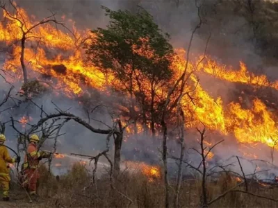Ambientalistas atribuyen «ecocidio» en Patagonia a falta de fondos para combatir incendios