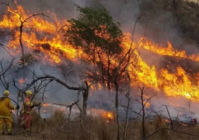 Ambientalistas atribuyen «ecocidio» en Patagonia a falta de fondos para combatir incendios