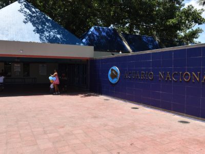 Acuario Nacional reintrodujo más de 1,300 organismos a su hábitat natural durante 2025