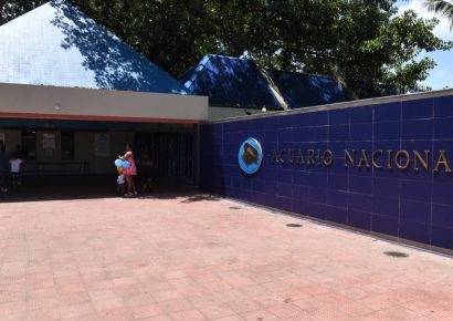 Acuario Nacional reintrodujo más de 1,300 organismos a su hábitat natural durante 2025