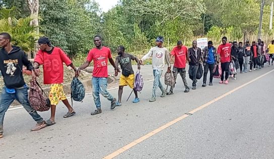 El Ejército dominicano detiene a 507 haitianos en situación migratoria irregular