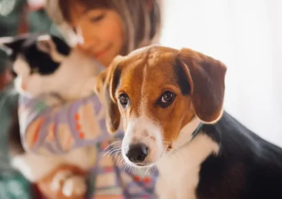 São Paulo autoriza el entierro de mascotas junto a sus dueños
