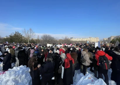 Escándalo en Rumanía: Sacrifican miles de perros sin hogar