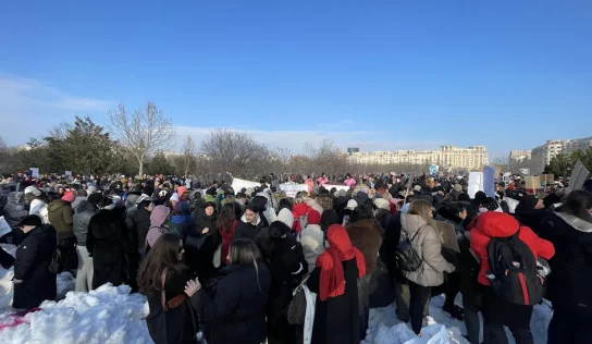 Escándalo en Rumanía: Sacrifican miles de perros sin hogar
