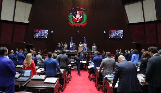 Cámara de Diputados aprueba en primera lectura la ley ‘Alerta RD’ para personas desaparecidas