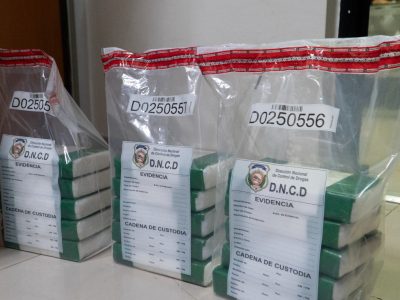 DNCD confisca más de 17 gramos de presunta cocaína en Los Alcarrizos
