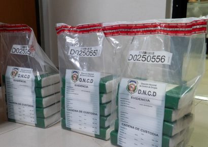 DNCD confisca más de 17 gramos de presunta cocaína en Los Alcarrizos