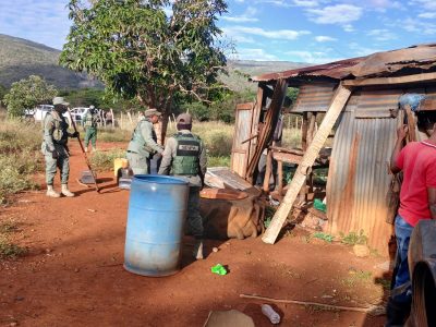 Autoridades capturan 21 haitianos en situación irregular durante operativos ambientales en Bahoruco