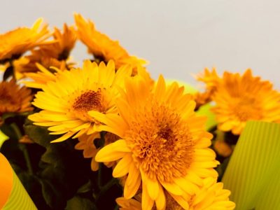 Flores amarillas: el gesto viral cada 21 de marzo