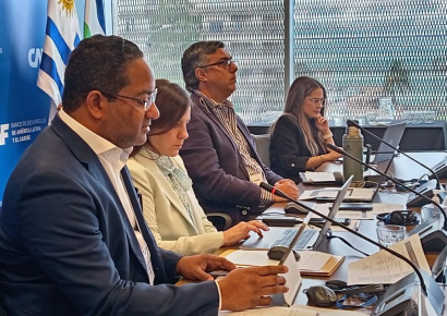 República dominicana asumirá vicepresidencia en comité de discapacidad de la OEA