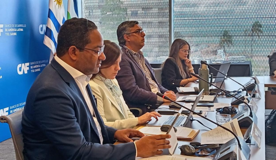 República dominicana asumirá vicepresidencia en comité de discapacidad de la OEA